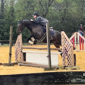 Meet your Posher, Ella